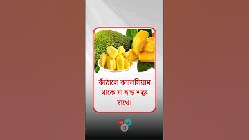 general knowledge || quiz | spinal cord । part-144