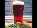 Красная ИПА/Red IPA на Ibrew40, с тройным охмелением, метод охмеления спиртовым настоем.