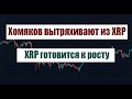 ХОМЯКОВ НАЧАЛИ ВЫТРЯХИВАТЬ ИЗ XRP! НОВОСТИ XRP