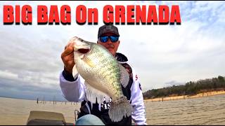 Big Bag Of Crappie On Grenada 2026