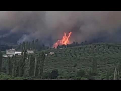 Bursa Mudanya, Göynüklü Altıntaş arasında yangın