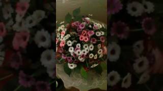 Sisli Bir İzmit Gecesi