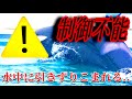【制御不能】水中に引きずり込んで..シャチが奪い合う.. 鴨川シーワールド