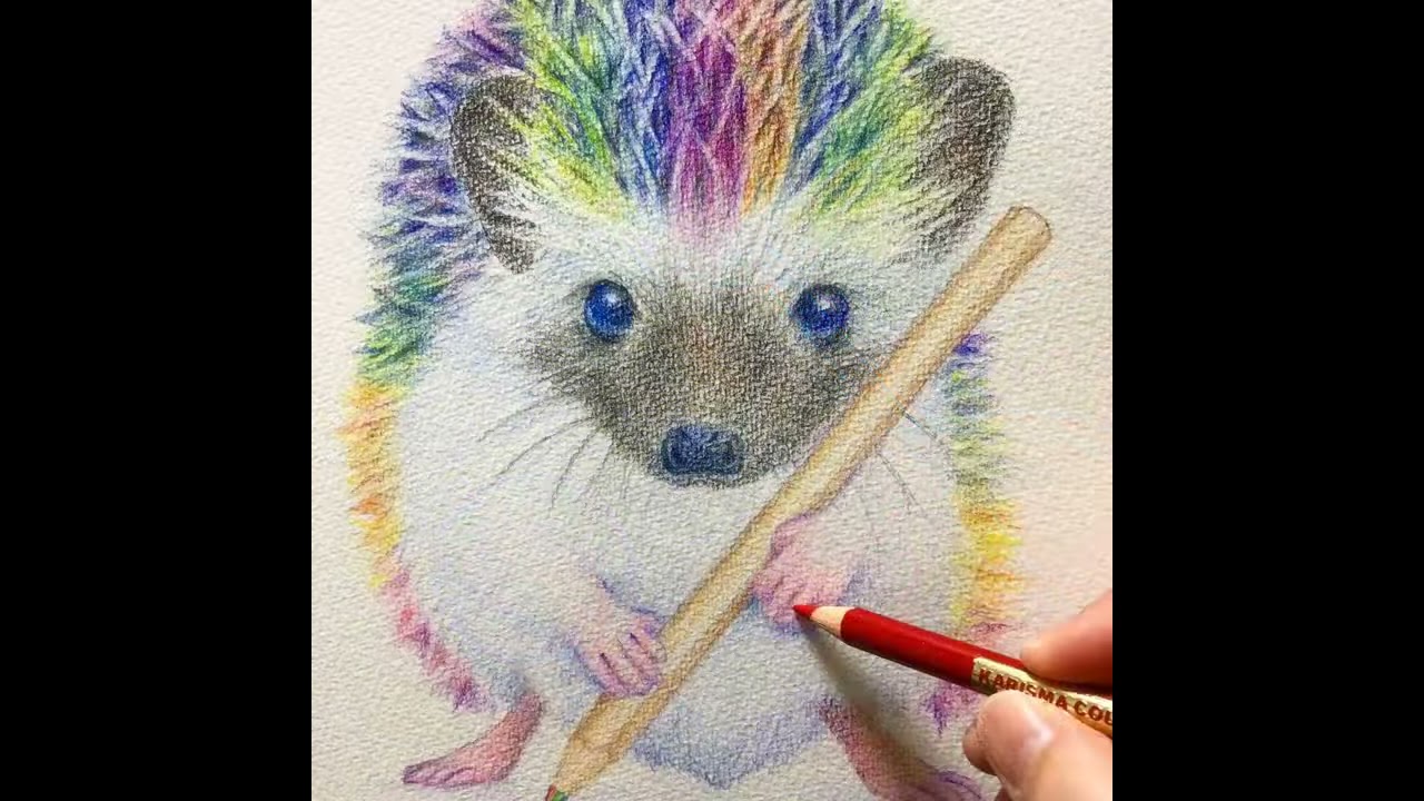 色鉛筆イラストレーター釘本緑 - YouTube