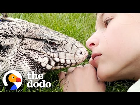 Lizard Loves Cuddling With His Favorite Girl | The Dodo