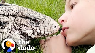 Lizard Loves Cuddling With His Favorite Girl | The Dodo screenshot 1