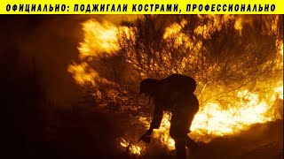 НАЙДЕНЫ СВИДЕТЕЛИ НАМЕРЕННЫХ ПОДЖОГОВ ЛЕСА В СИБИРИ!!! ПОЖАРЫ ЗВЕРЕВ ГАЛКИН НАЙДЕНЫ СВИДЕТЕЛИ НАМЕРЕННЫХ ПОДЖОГОВ ЛЕСА В СИБИРИ!!! ПОЖАРЫ ЗВЕРЕВ ГАЛКИН