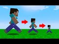 Minecraft but every step makes you smaller...