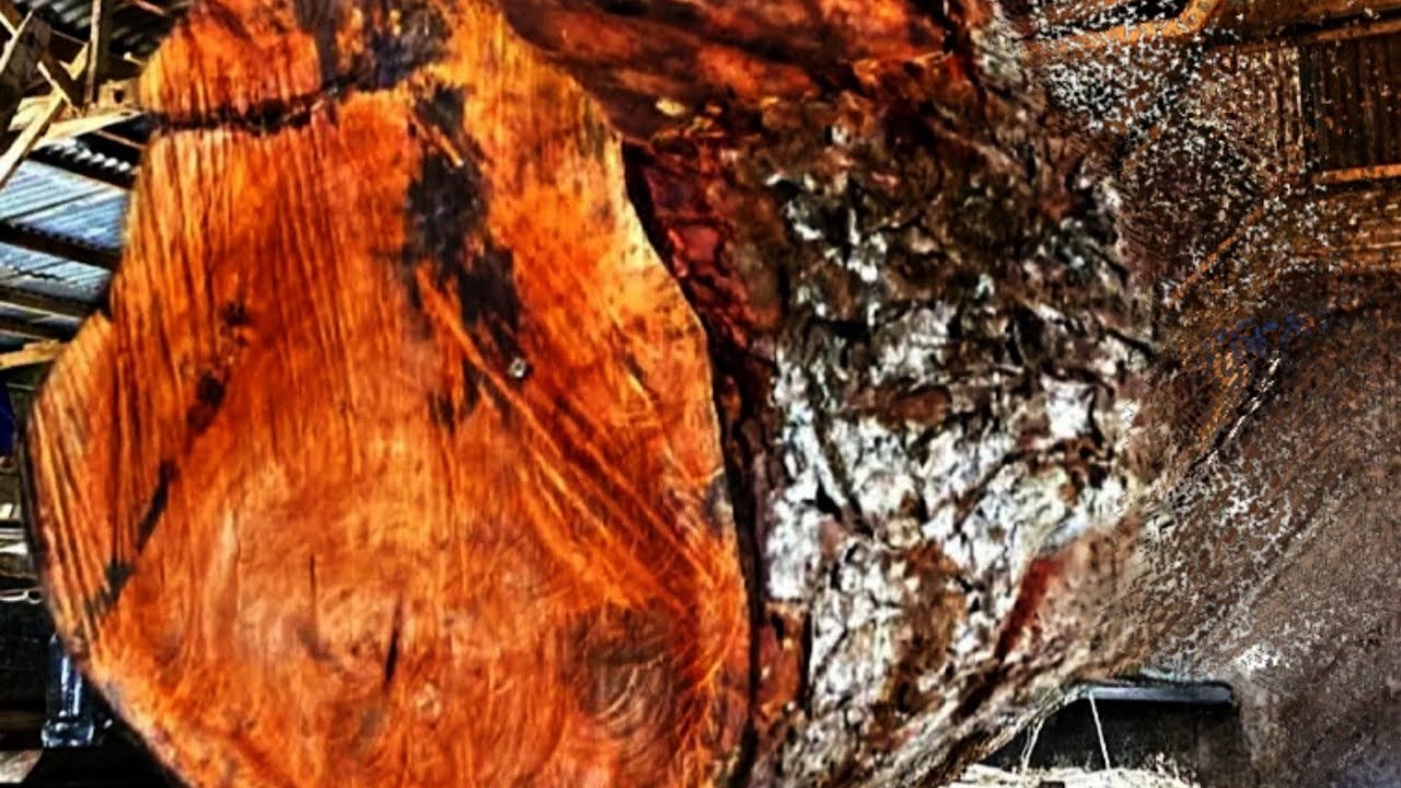 the challenge of sawing large and hard mahogany wood - YouTube