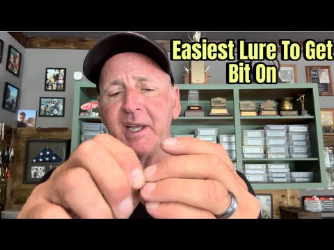 The Easiest Lure To Catch A Bass On…ANYWHERE