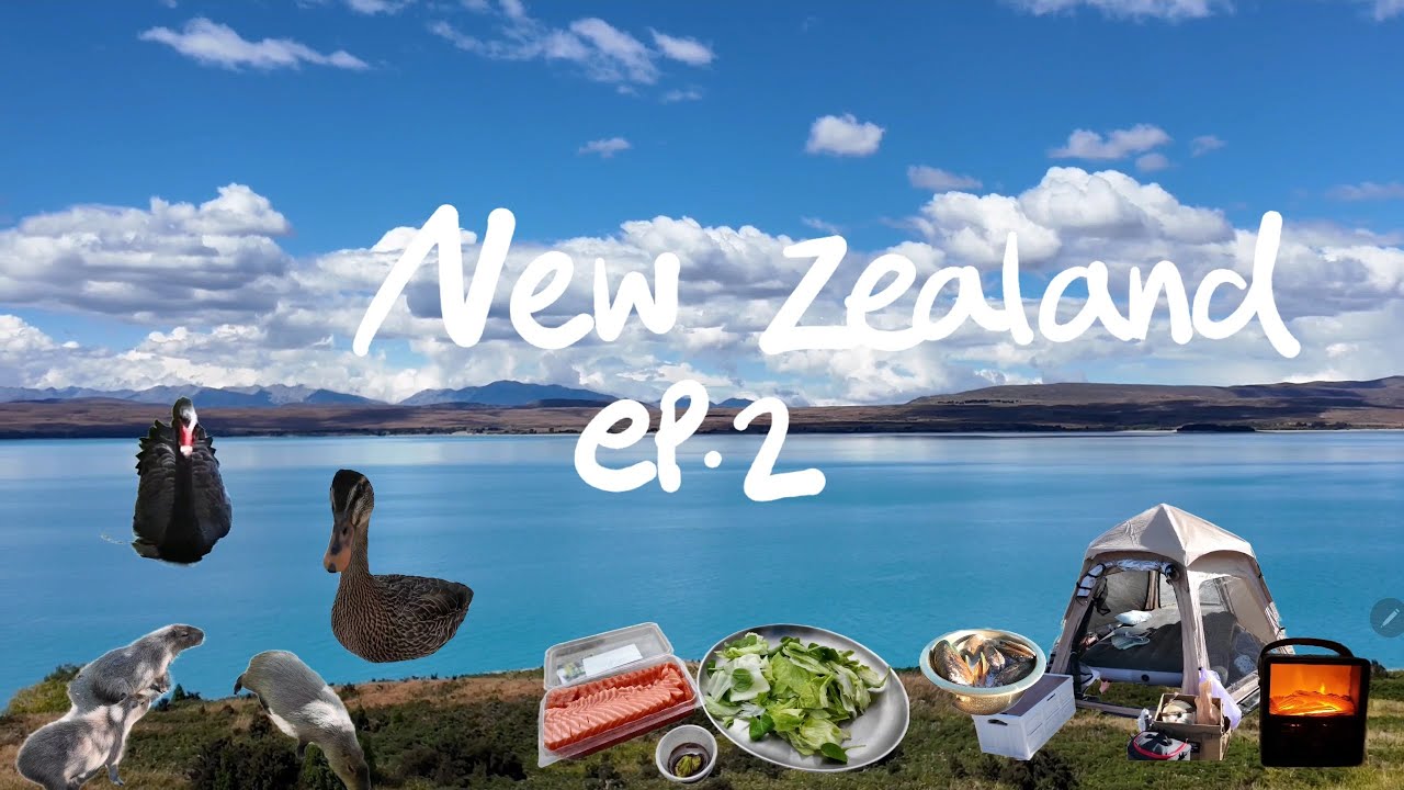 🇳🇿뉴질랜드여행 ep.2 | 테카포호수의 밤과 캠핑의 하루 | 윌로우뱅크에서 만난 키위🥝 | 뉴질랜드 영화같은 풍경🇳🇿