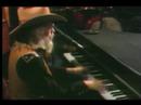 Willie Nelson and Family Leon Russell Under The Do...