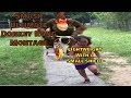 "dOnKeY kOnG iS bAd" (Smash Bros. Ultimate Montage)