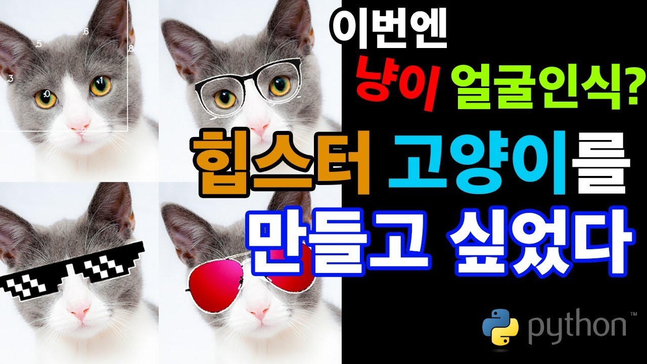 [Cat Hipsterizer] 고양이를 힙스터로 만들고 싶었다. 고양이 얼굴인식 - Python, Deep Learning ...