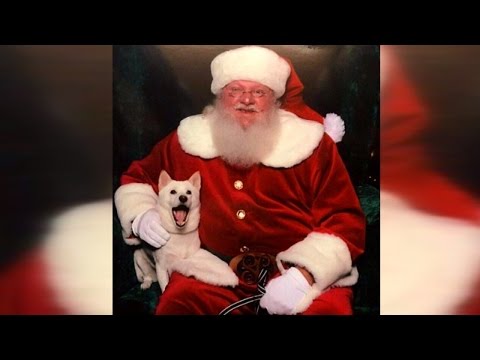 Dog Obsessed With Santa Claus Can't Stop Smiling When Meeting Her Idol at Mall