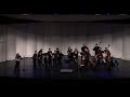 LHS Chamber Orchestra - 2-5-2020