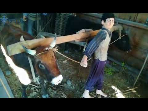 ეთნოგრაფიული მუზეუმი \"ბორჯღალო\"./ Ethnographic Museum \"Borjgalo\"