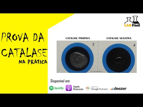 Vídeo: Quais organismos são positivos para a catalase?