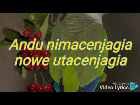 Nducenjagia by Maggie N full lyrics