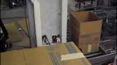 Emerald Automation Automatic Case Positioner