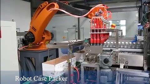 fully auto robot case packer for bottle water