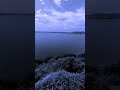 Keno megh ashe. Rabindra Sangeet short video . Diphor bill