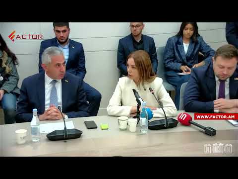 Սա ձեր առաջին թեստն է, պարոն Գաբրիելյան, հիմա անցնո՞ւմ եք, թե՞ չեք անցնում․ Աննա Գրիգորյան