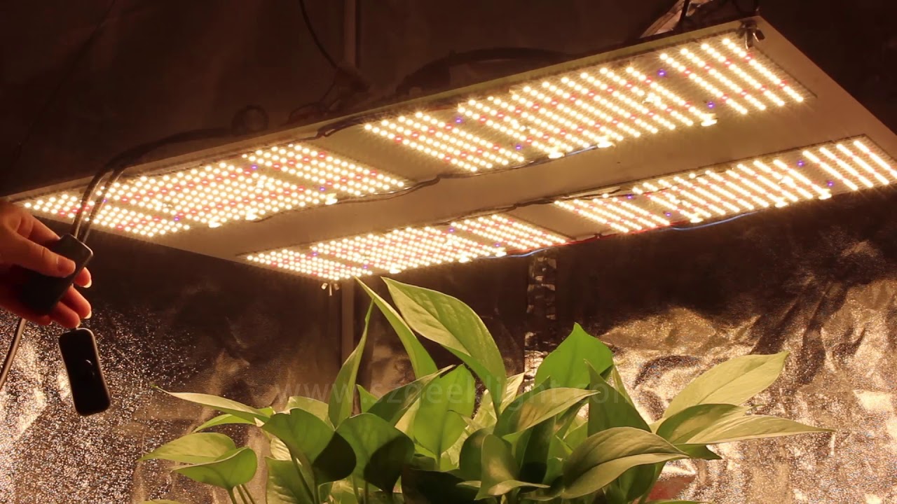 2020 GeekLihgt Newest Quantum Board V4 480W SAMSUNG LM301H+660NM+CREE 730NM+LG UV395NM