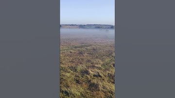 SJRC F11 Pro  Flight in the fog #fly #sjrcf11pro #nature  #summertime #summer