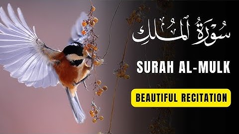 Surah Al Mulk سورة الملك | Cure Anxiety, Stress, and Depression | ❂ ZIKR
