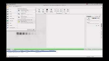 Image Studio Lite 5.0 ‑ Export Data