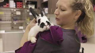 More Than an Animal Shelter: 2021 Cleveland APL PSA