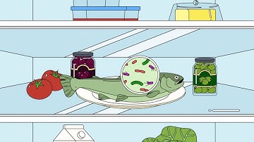 6  Hazard vs Risk - Bacteria animation