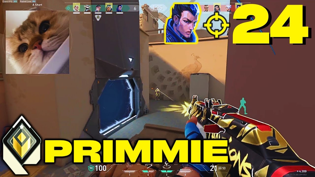 HE’S BACK!! - FS Primmie [APAC] #TeamMVP - YouTube
