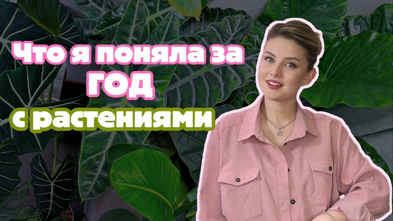 КАК Я УПРОСТИЛА УХОД ЗА 70+ РАСТЕНИЯМИ🌱✨