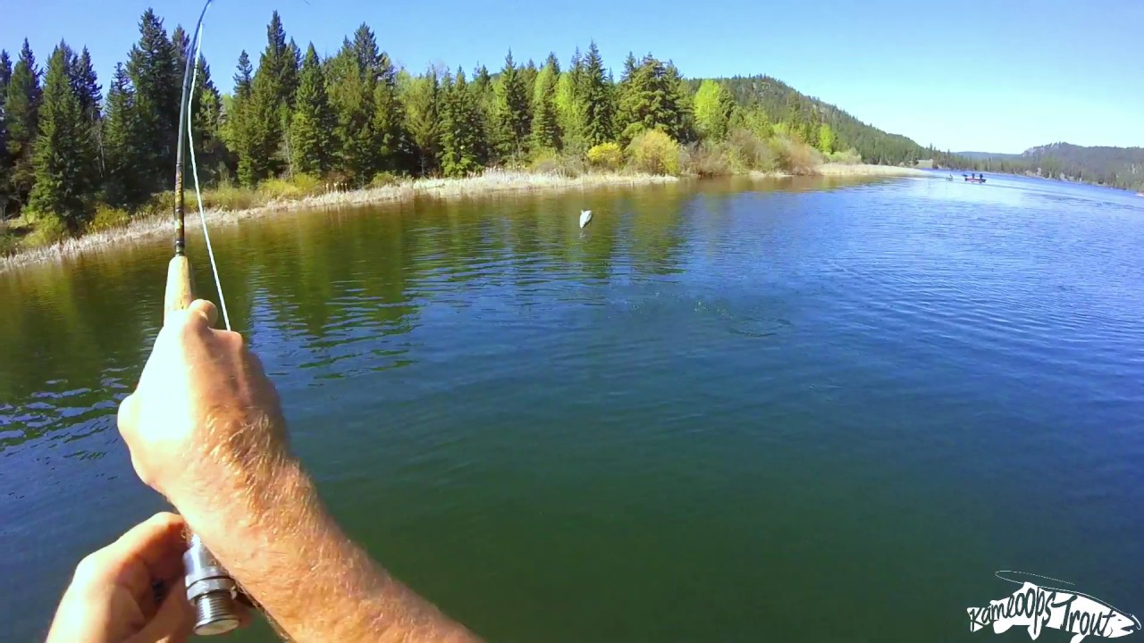 Kamloops Trout Live the Experience YouTube