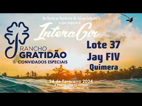 Lote 37 - Jay FIV Quimera    JGCF 437 VIDEO