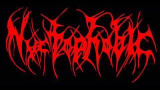NYCTOPHOBIC- Negligenced Respect