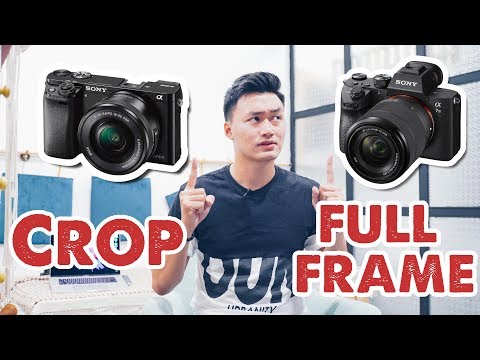 CROP vs FULLFRAME | người mới nên mua máy ảnh nào?