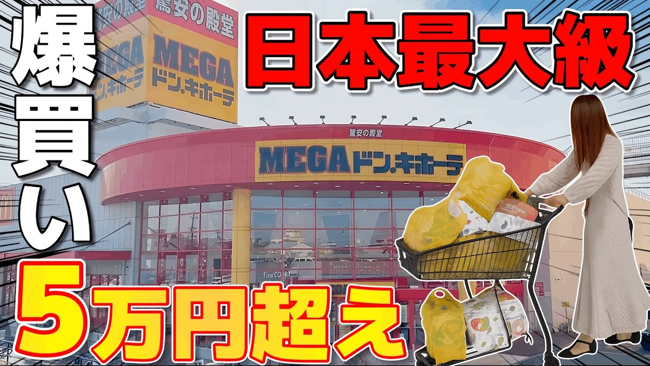 【買い放題】ドン•キホーテで欲望のままに3カゴ分ドッサリ！【アラサー/主婦】