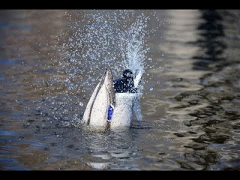 How To: Neoprene Wader Repair 