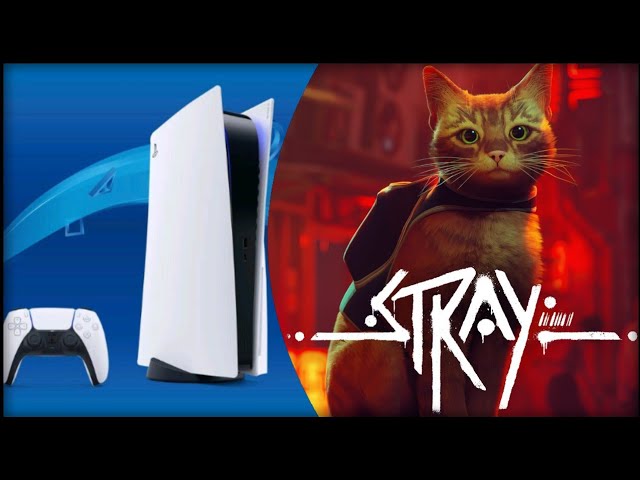 PlayStation 5 | Stray | Graphics test/First Look - YouTube