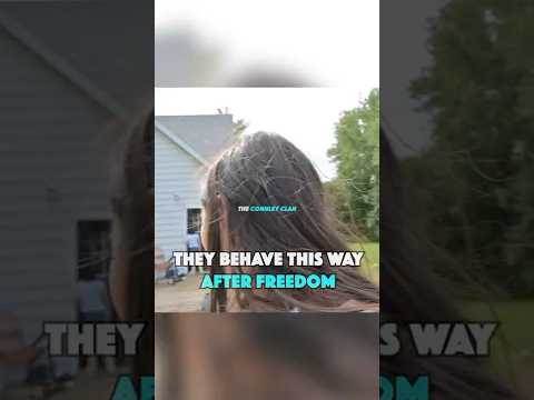 Not What You Would Expect