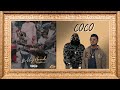 Thatpain x roze  coco official visualizer bollyhood