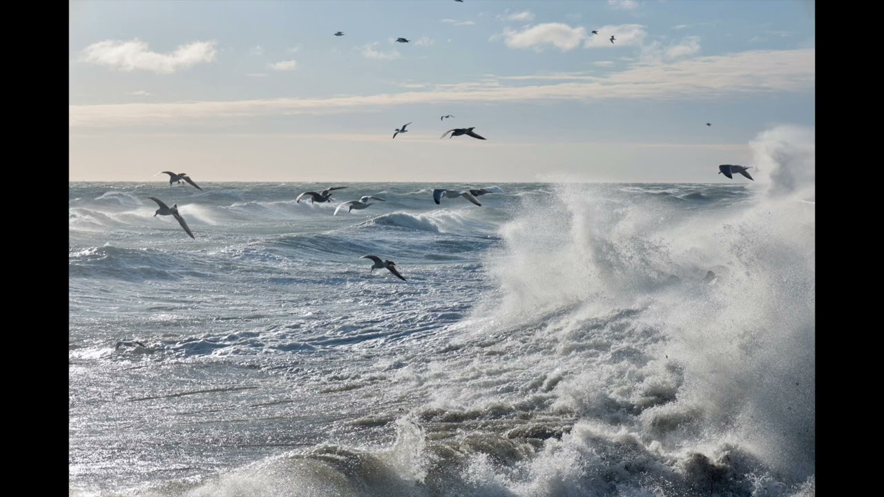 M Holm - Deeper Dreams