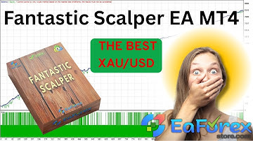 Fantastic Scalper EA MT4 Review + Setting | EA Forex Store