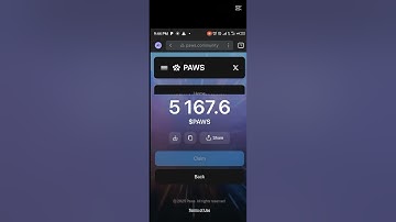 HOW TO CHECK YOUR $PAWS ALLOCATION IF YOU HAVE MULTIPLE ACCOUNTS