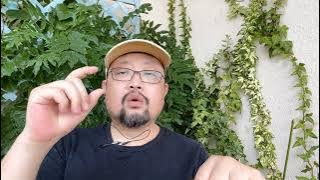 聊聊英勇的郑州人民在抗击水灾的同时，围堵境外反华媒体的意义