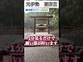 もし逃したら2度とないです!24時間後から良いことが次々と起きます!元伊勢【瀧原宮遠隔参拝】最強パワースポット(三重県)