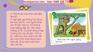 Giáo án powerpoint tuần 13 bài 4 tiết 3,4: Mở rộng vốn từ Trườ...|GA Tiếng Việt 2 Chân trời sáng tạo